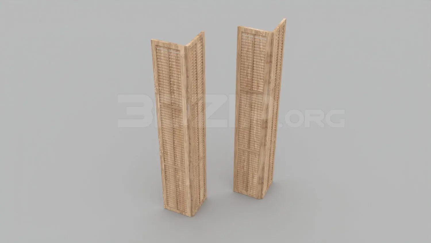Folding Door
