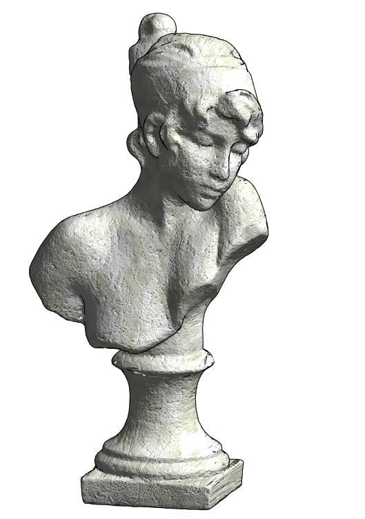 Woman Bust