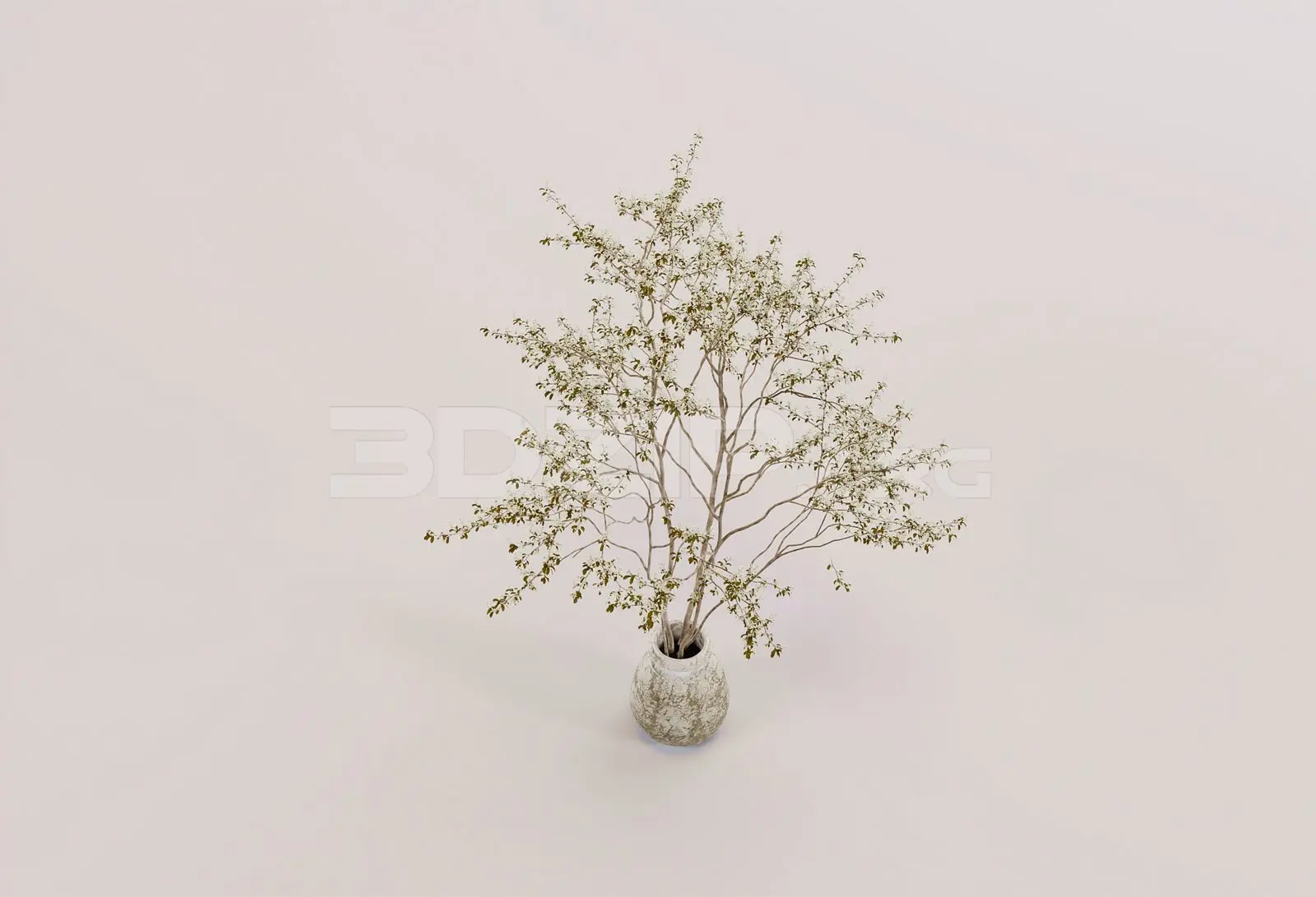 Plant — preview 1 (3dzip)