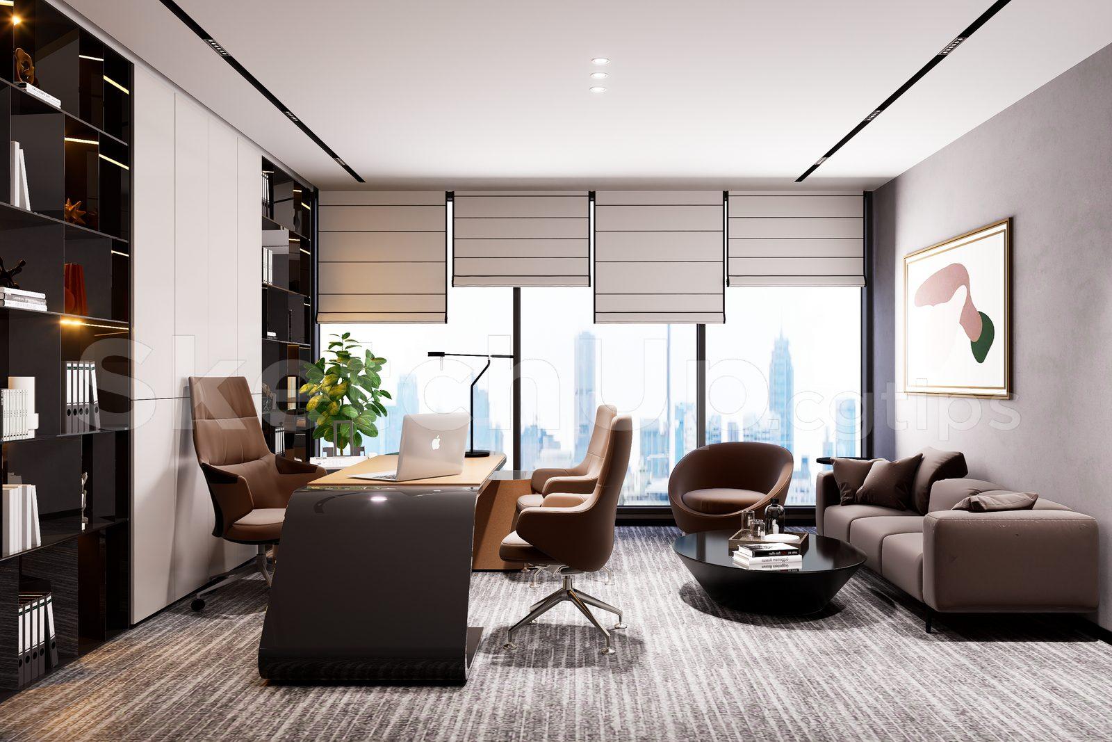 Director Office Interior