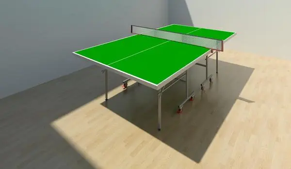 Ping Pong Table