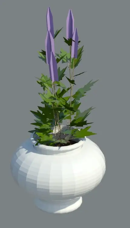 Plant