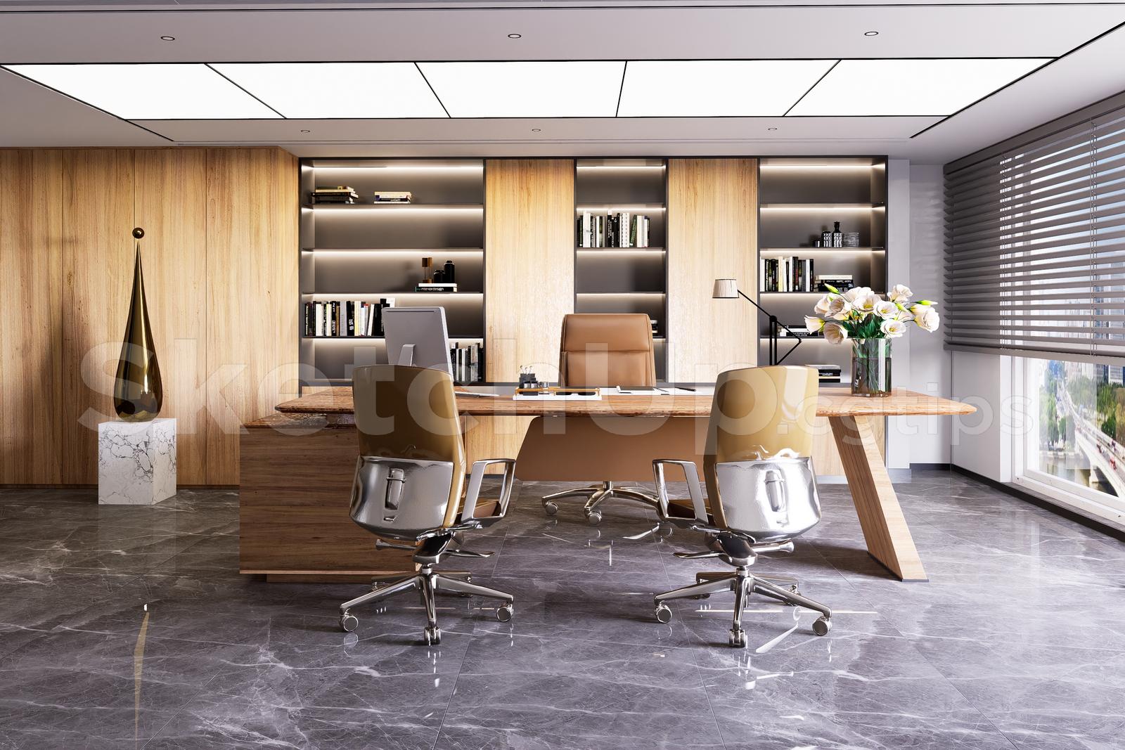 Director Office Interior