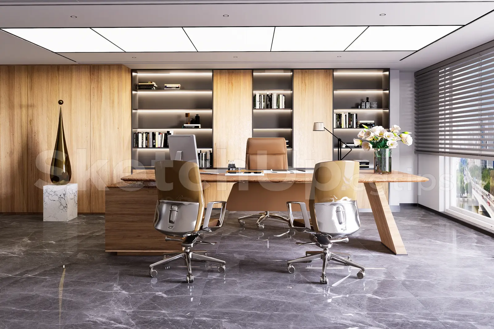 Director Office Interior