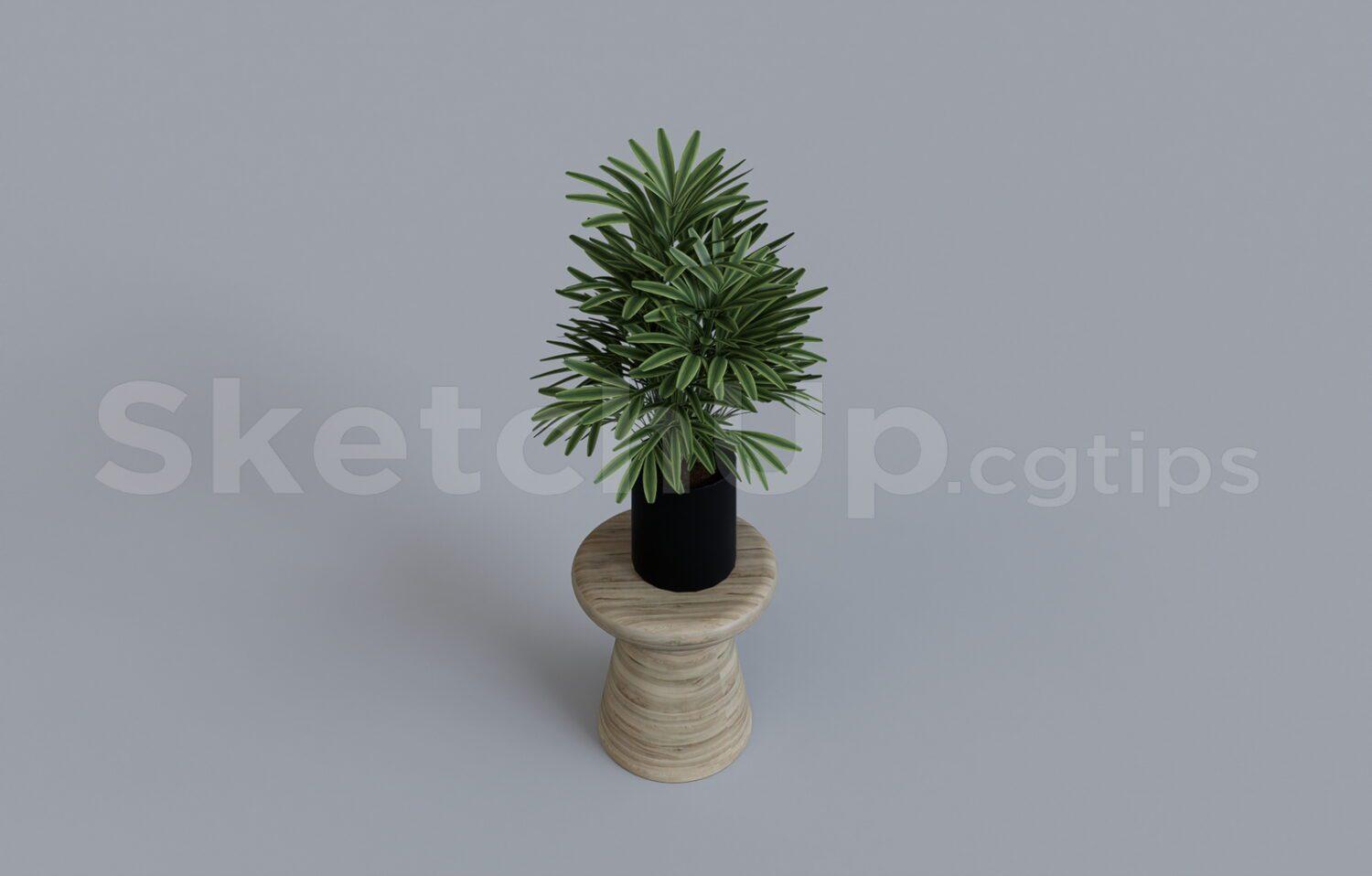 Plant
