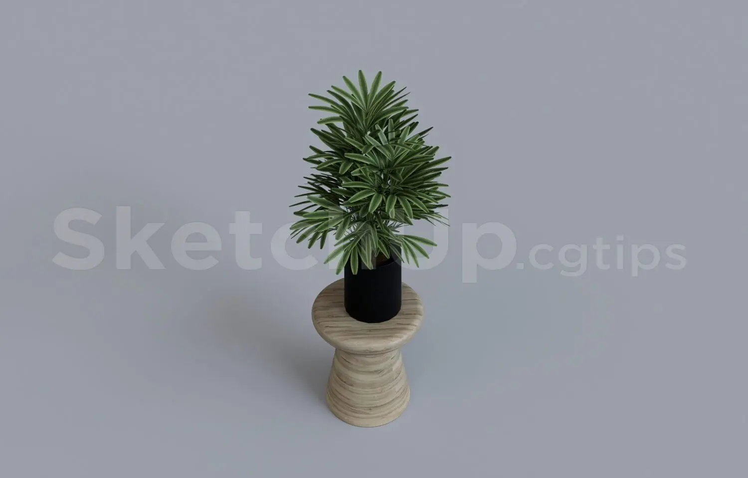 Plant