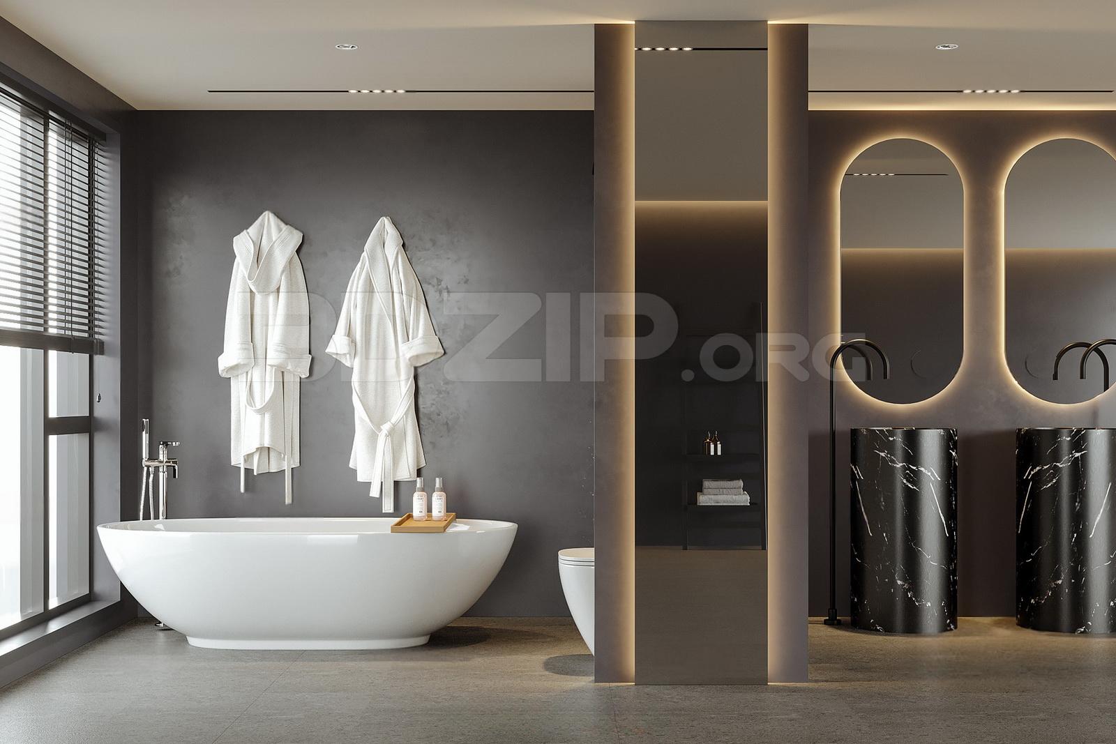 Bathroom Interior