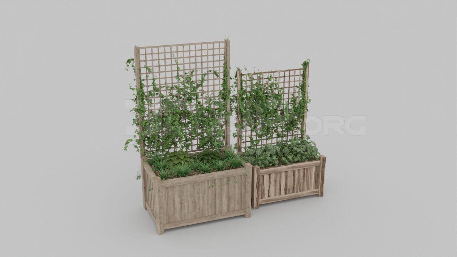 Plant