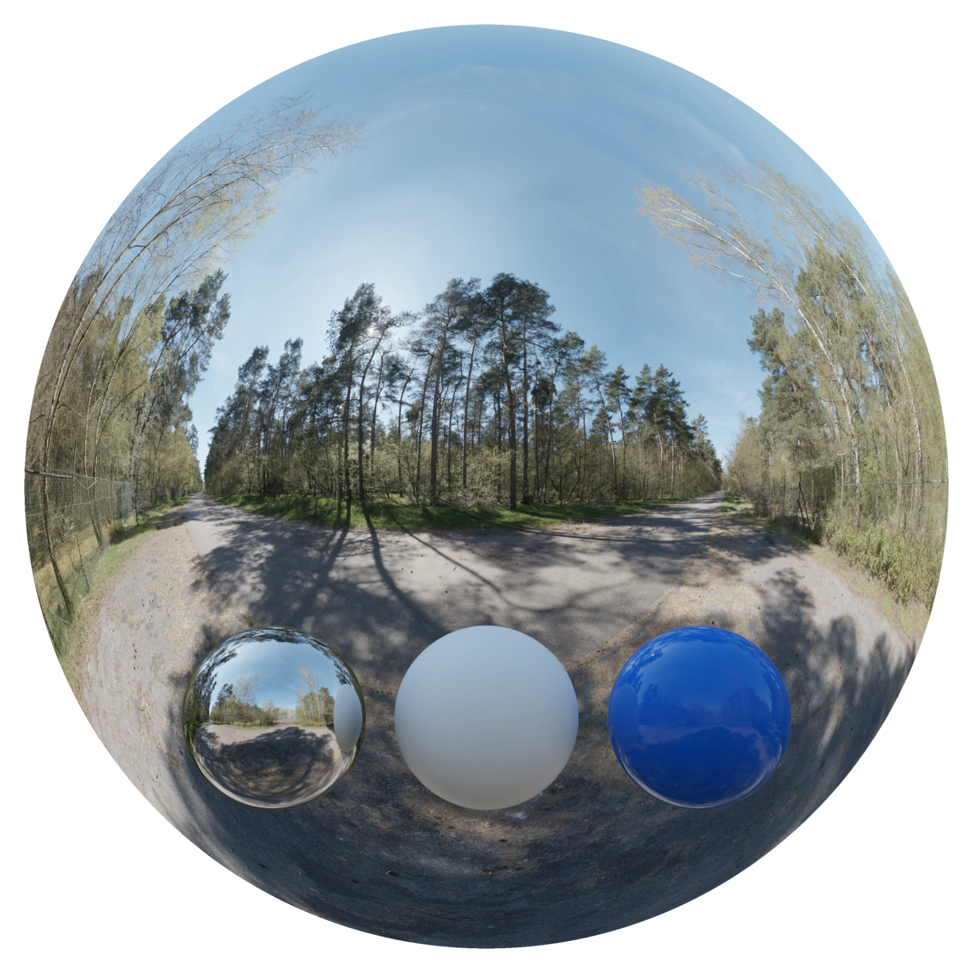 Day Environment HDRI 011