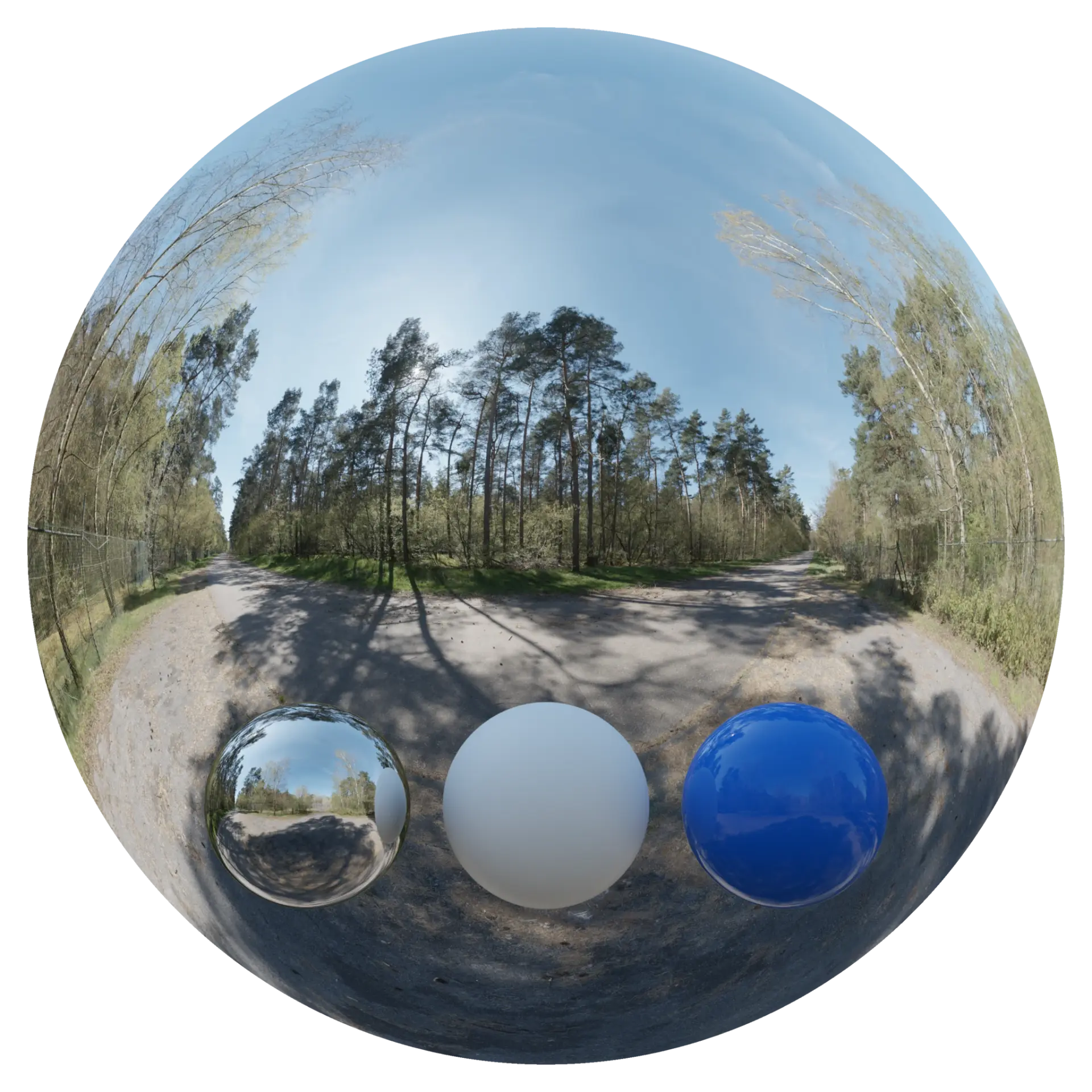 Day Environment HDRI 011