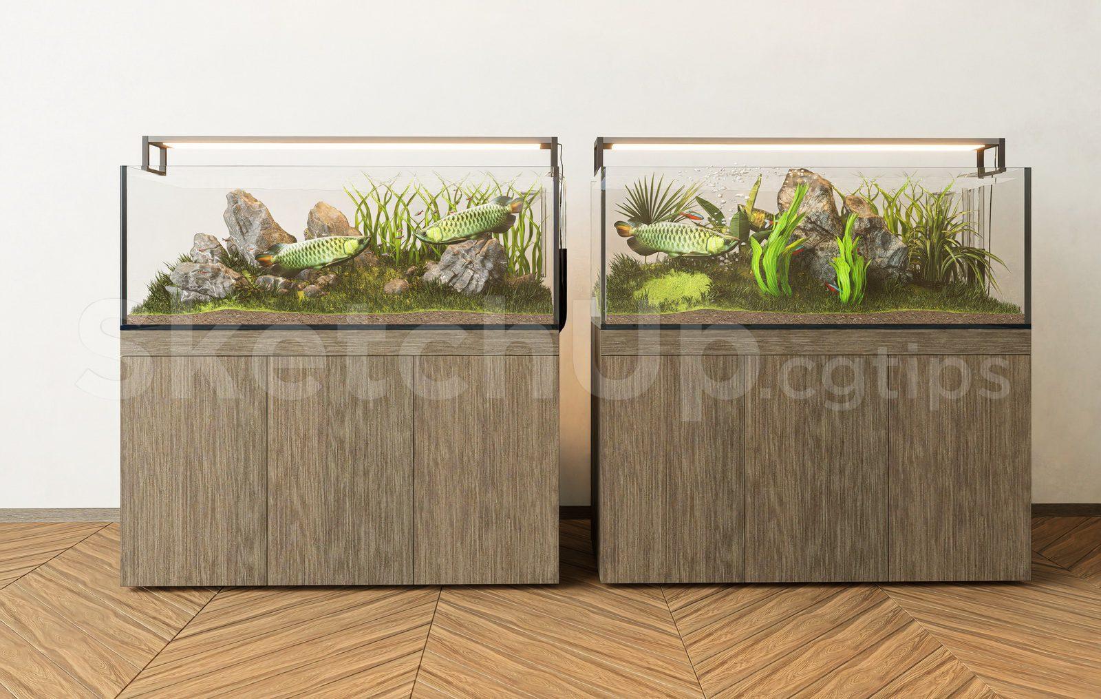 Aquarium Tank