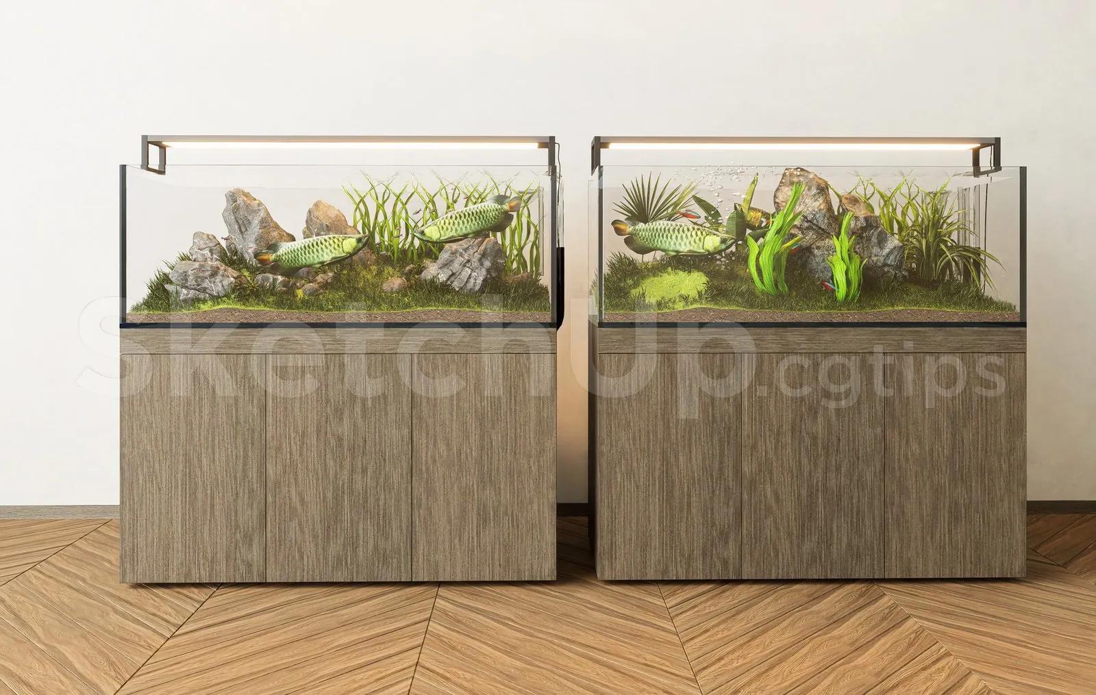 Aquarium Tank