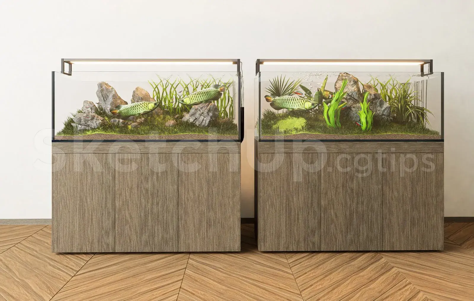 Aquarium Tank