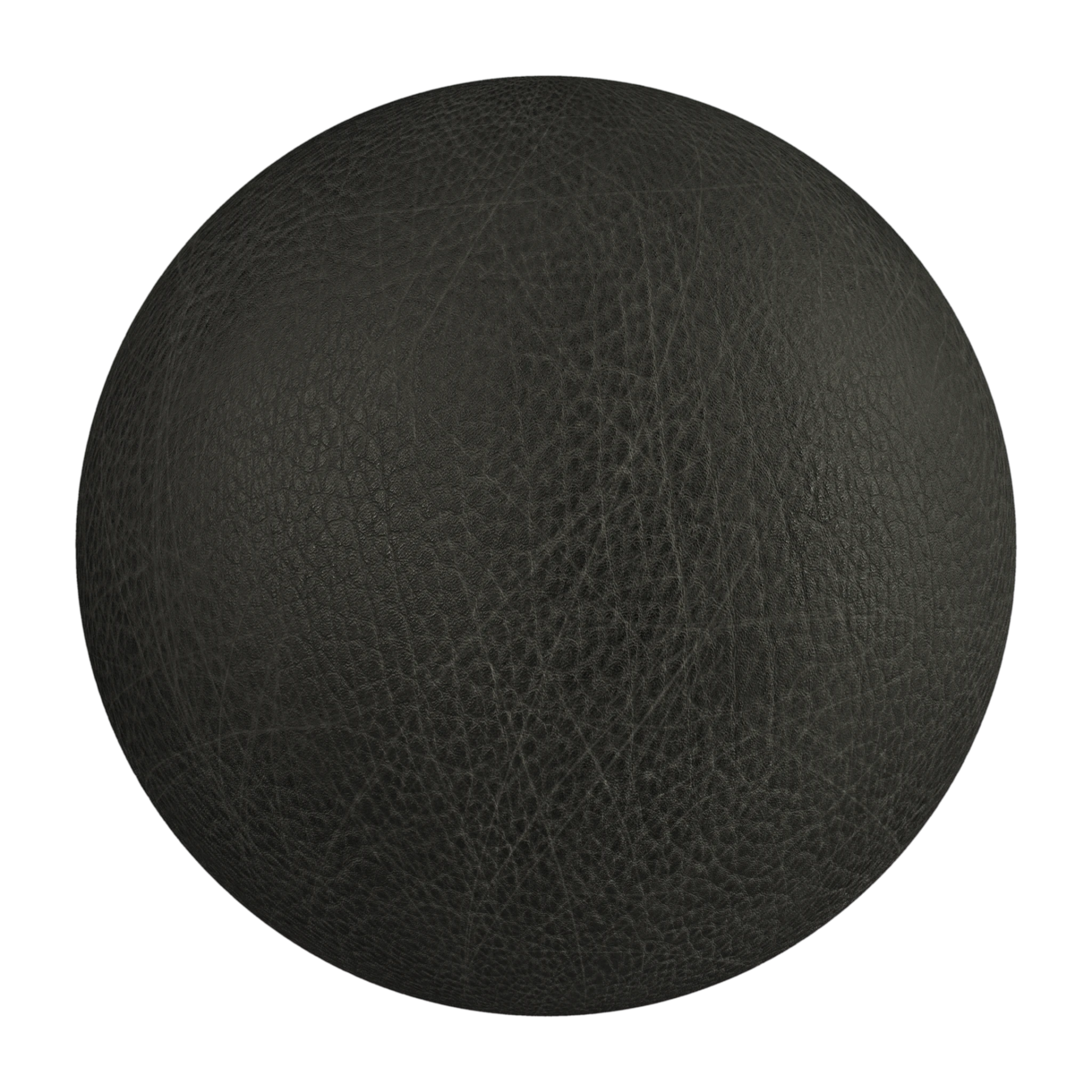 Leather 032
