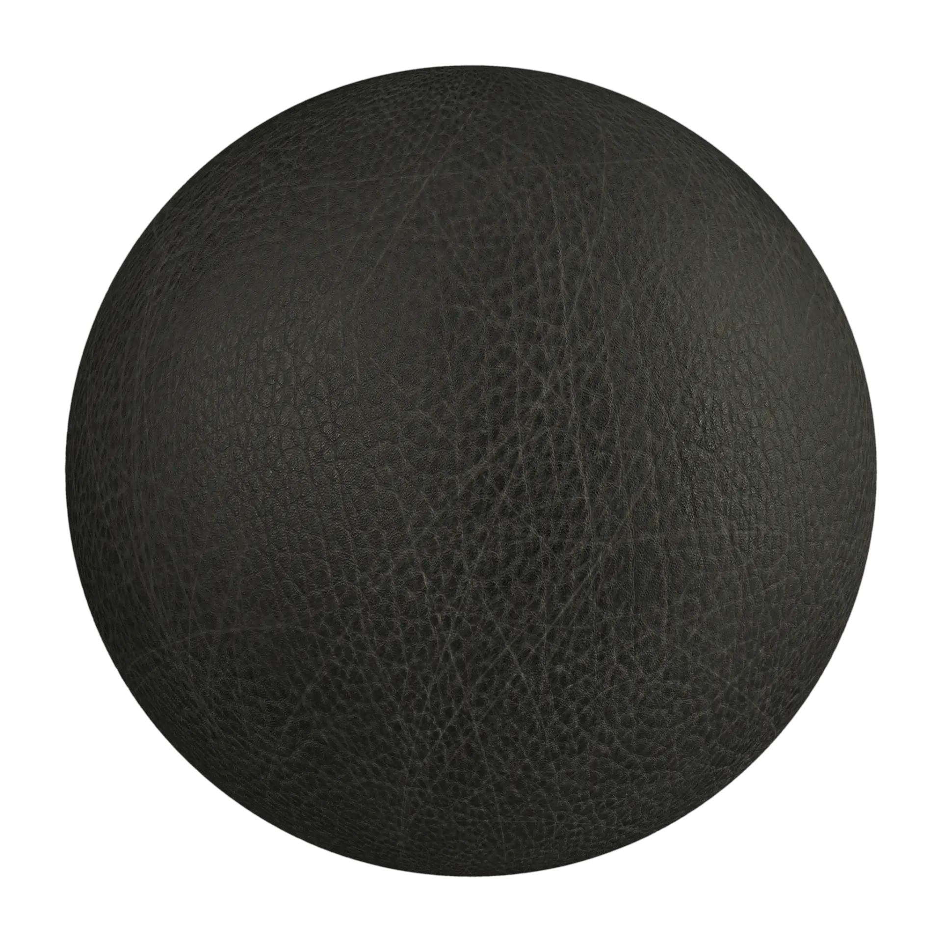 Leather 032