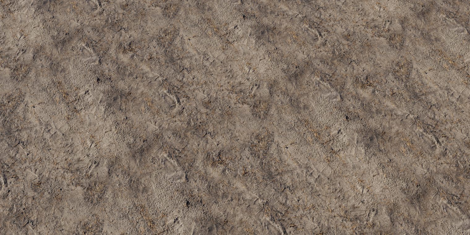 Forest Sand 1