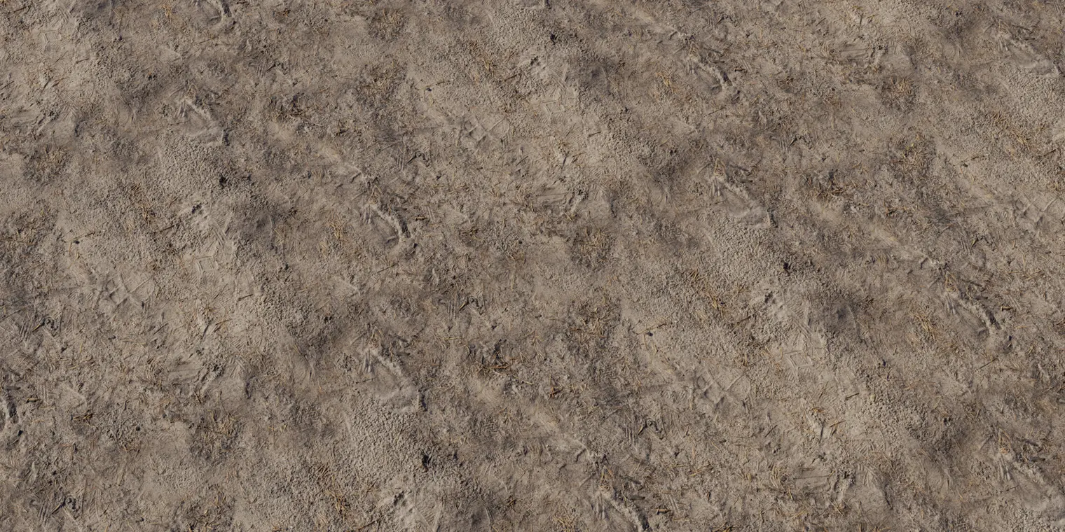 Forest Sand 1