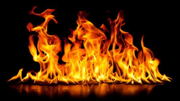 Fire with Logs