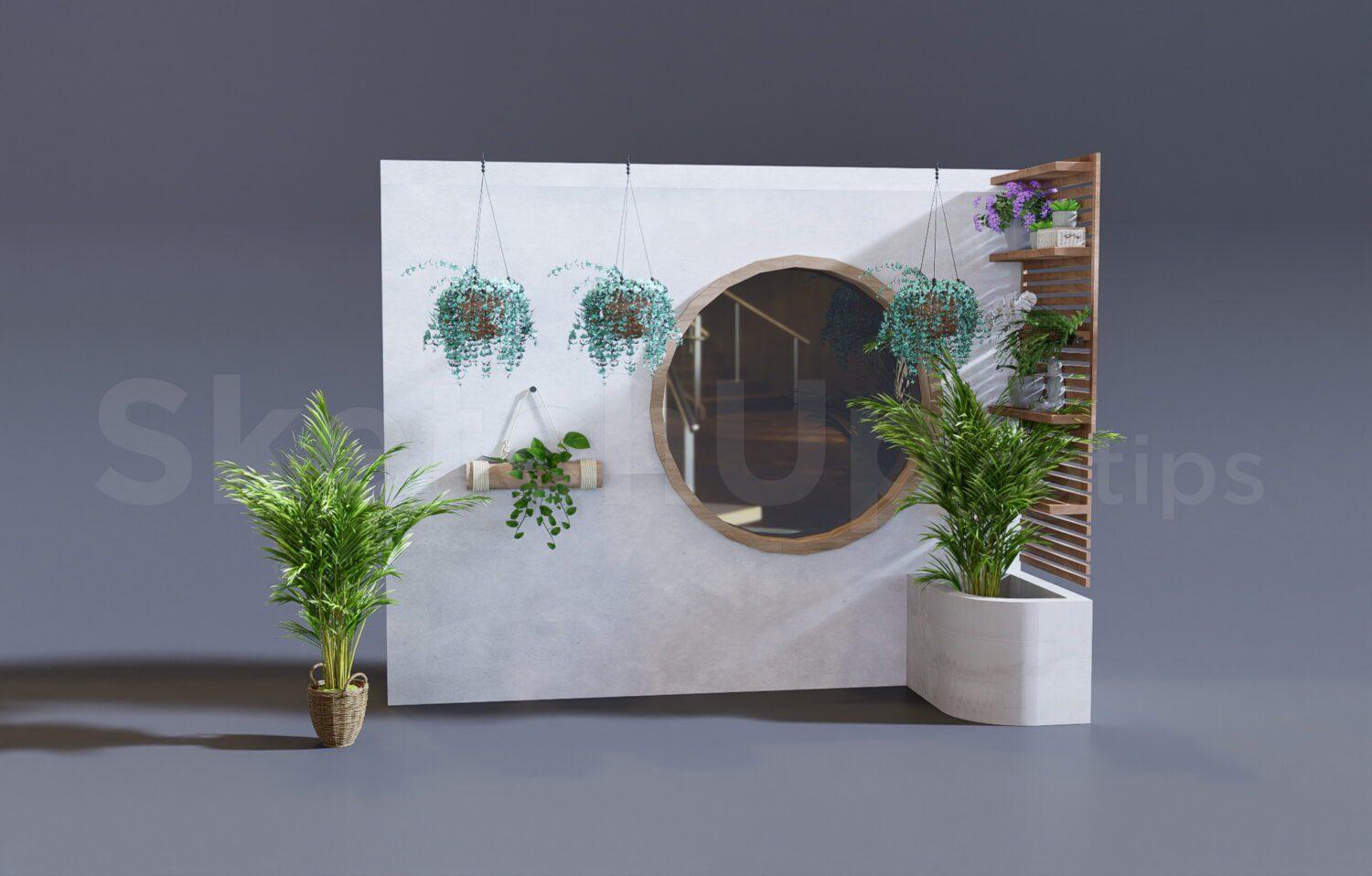Plant