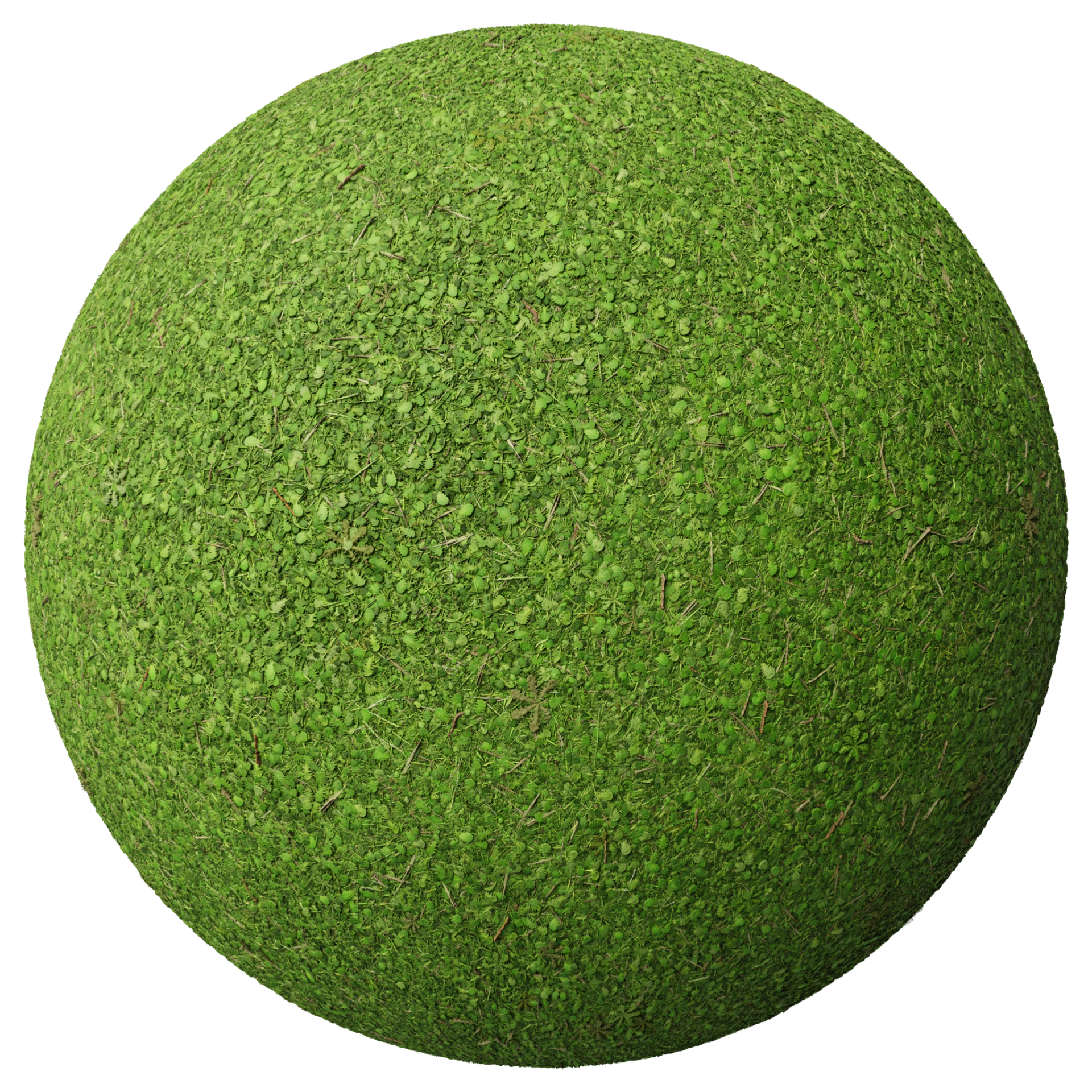 Grass 006