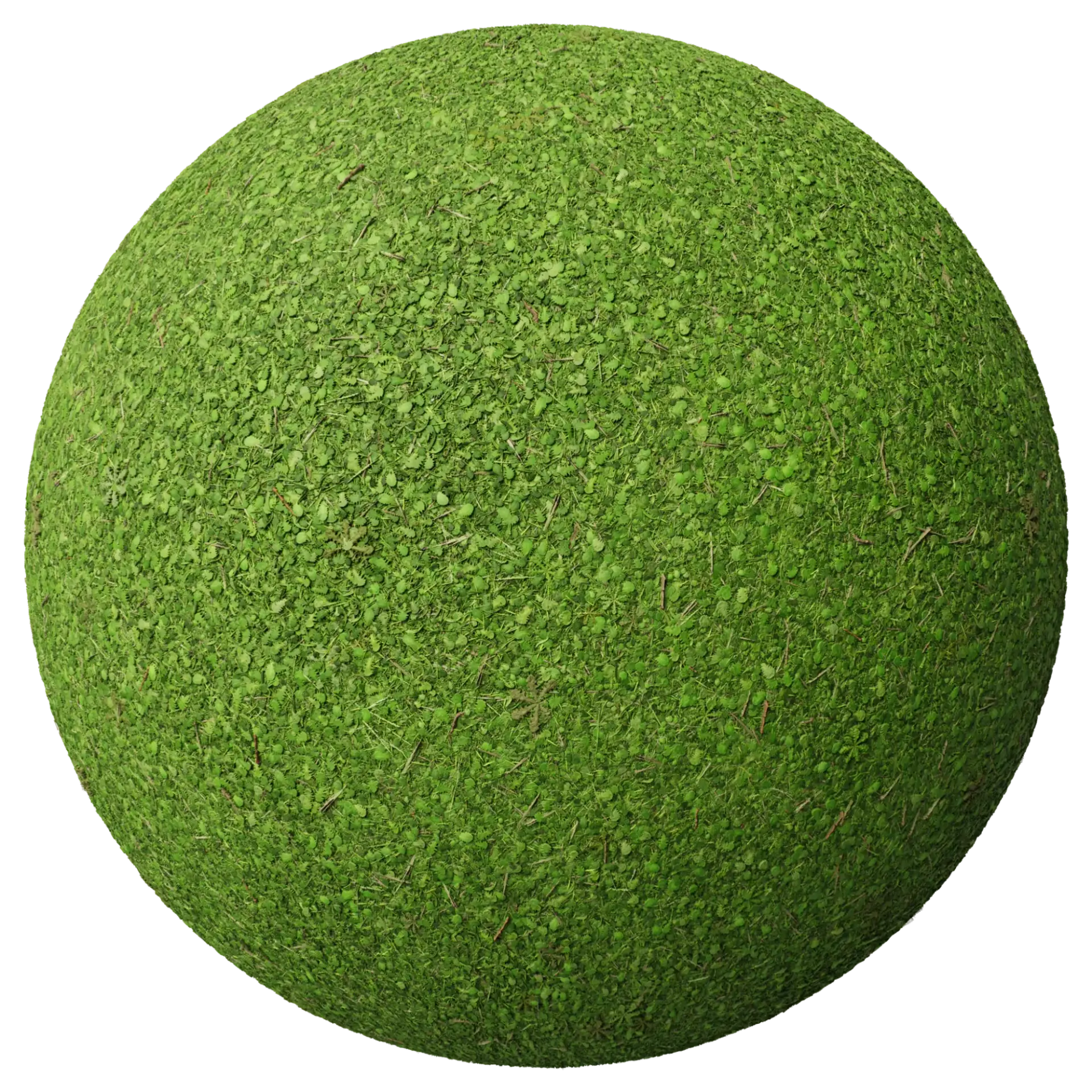 Grass 006