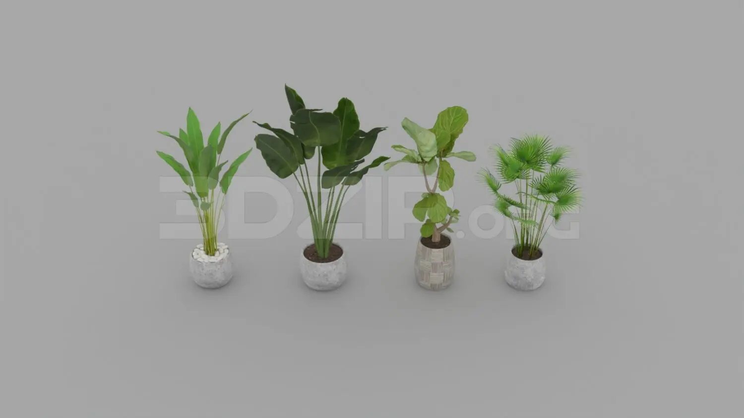 Plant — preview 1 (3dzip, CC0)