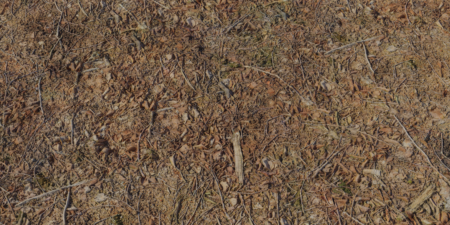 Forest Leaves 4