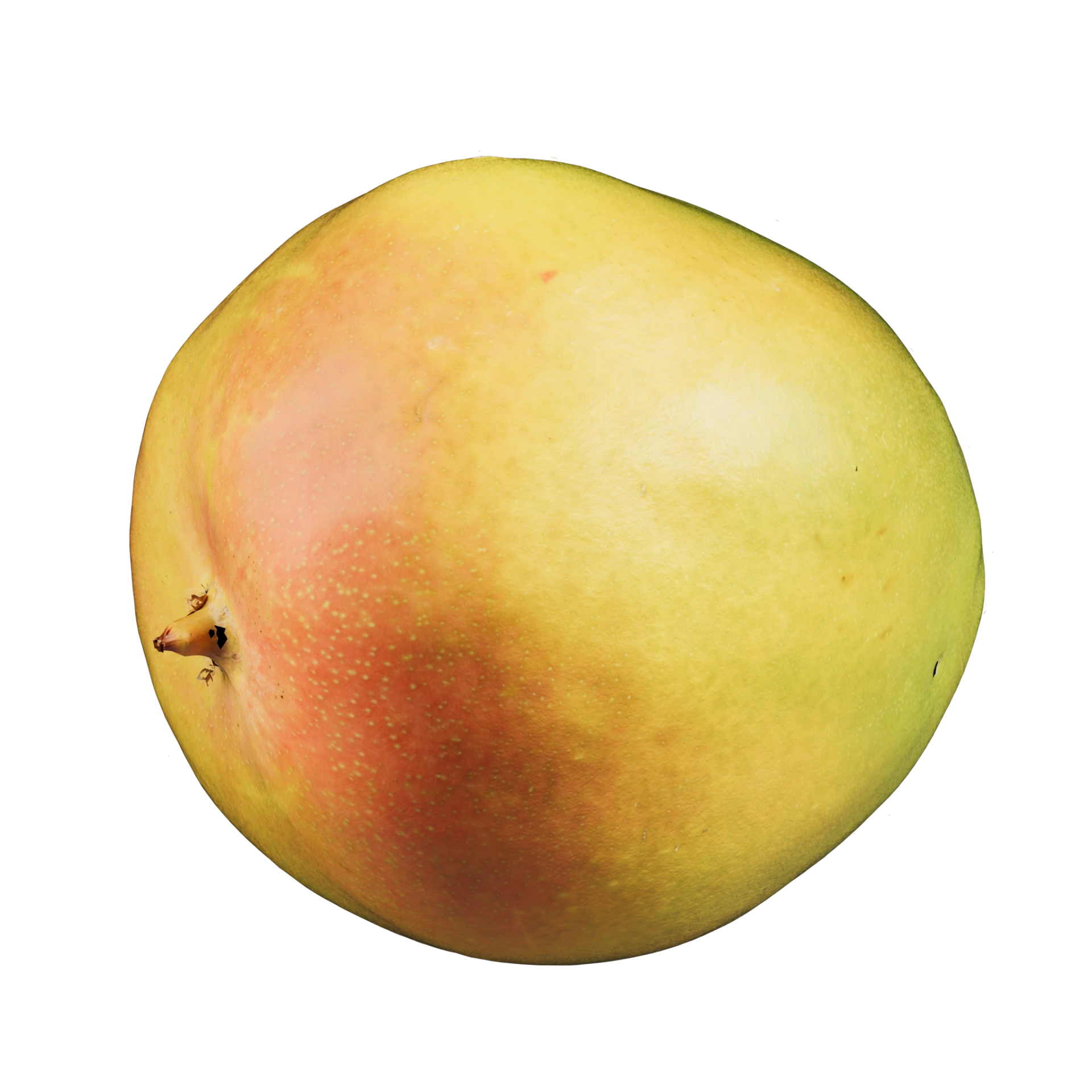 3D Mango 001