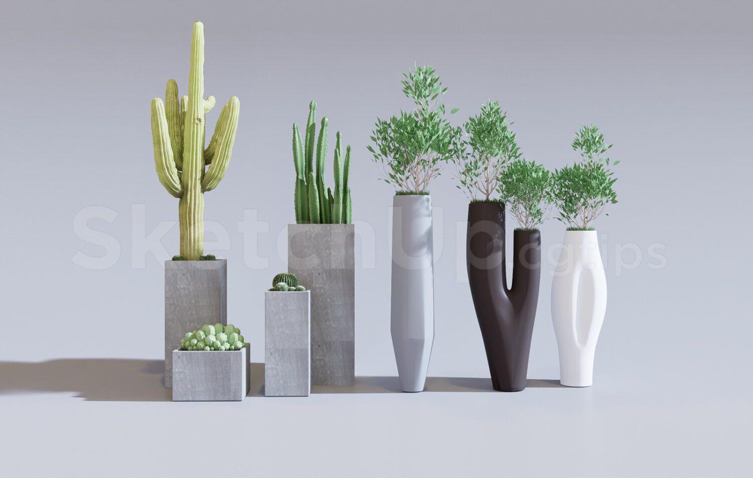 Plants