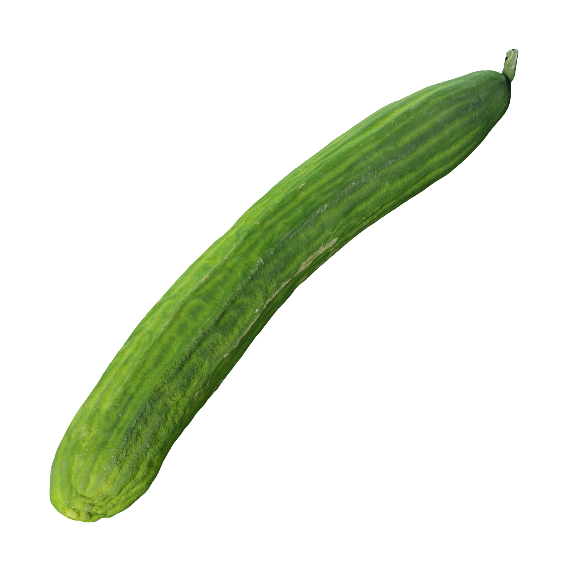3D Cucumber 001