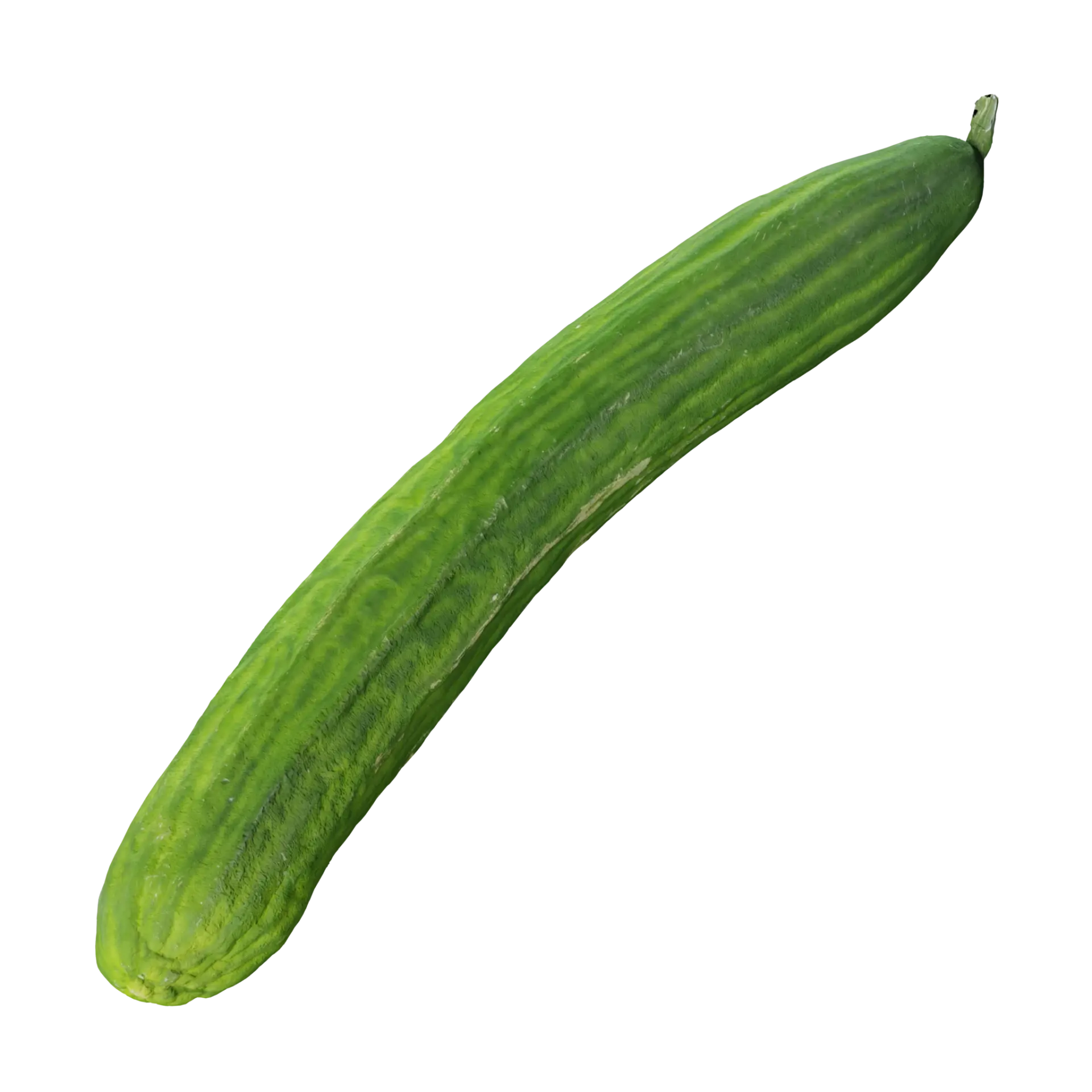 3D Cucumber 001