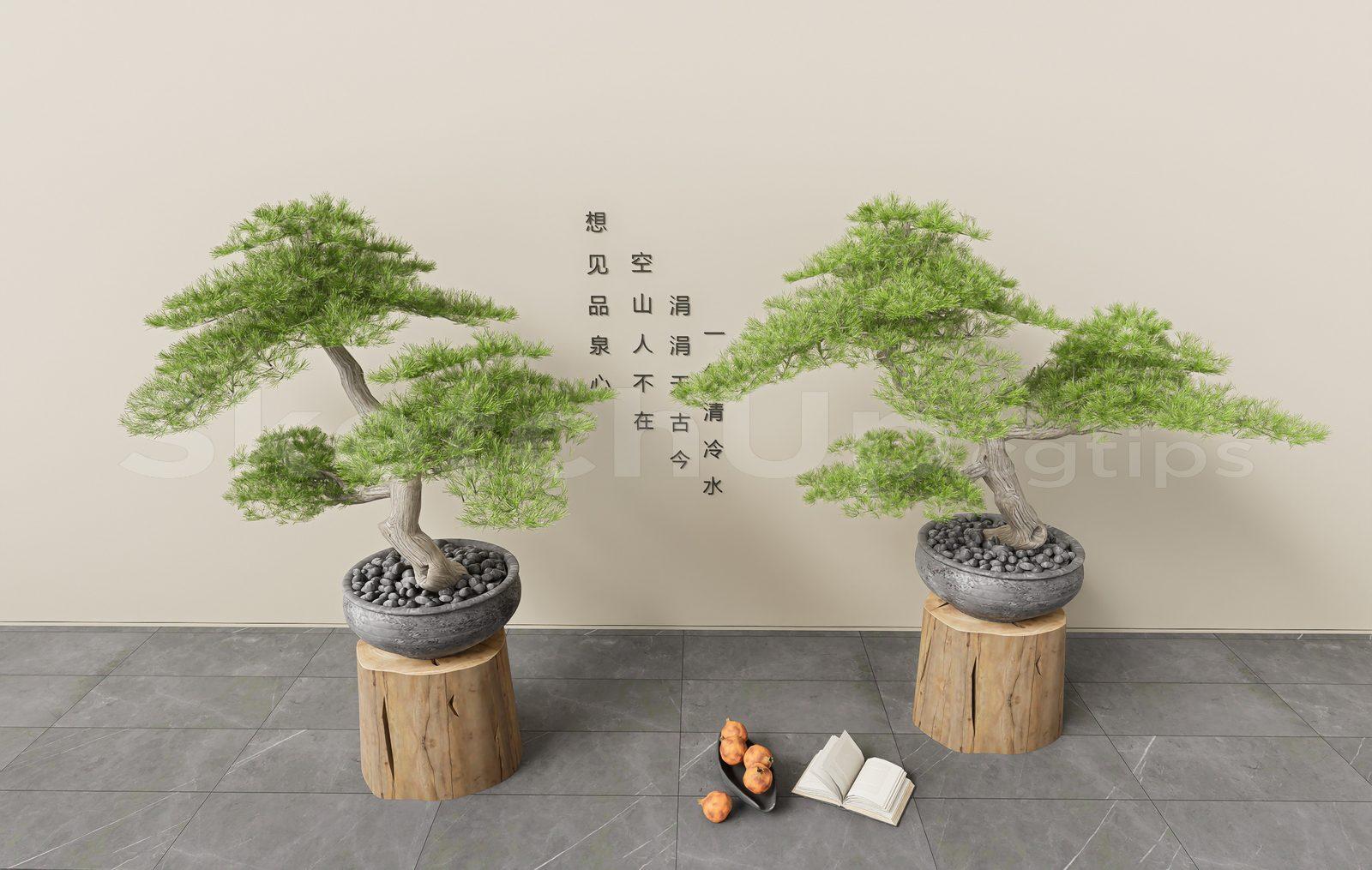 BonSai Tree