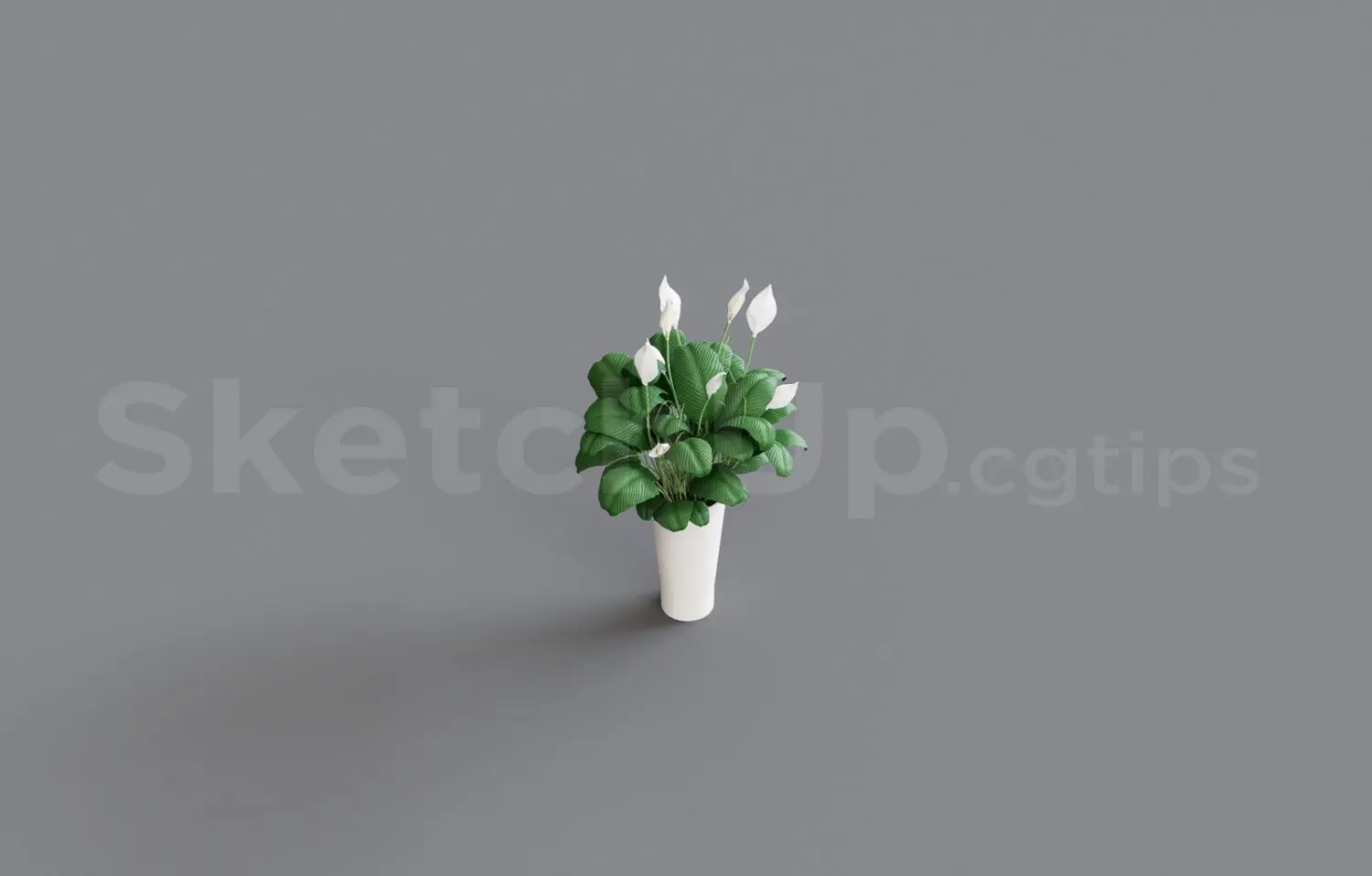 Flower — preview 1 (cgtips, CC0)