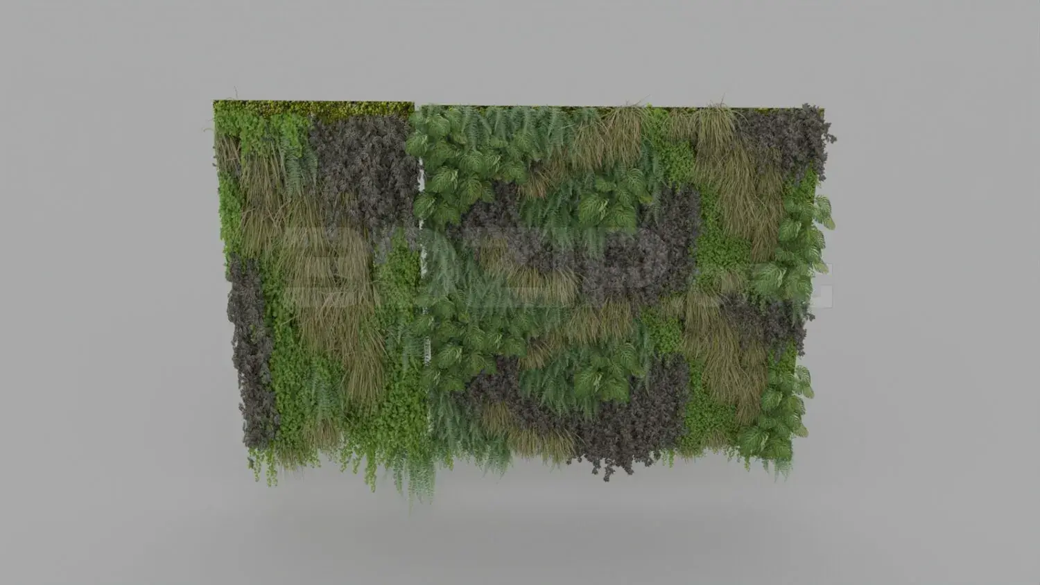 Plant