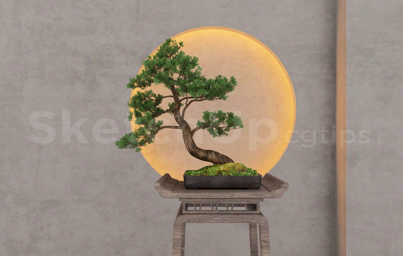 BonSai Tree