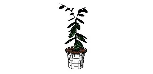 Plant 3