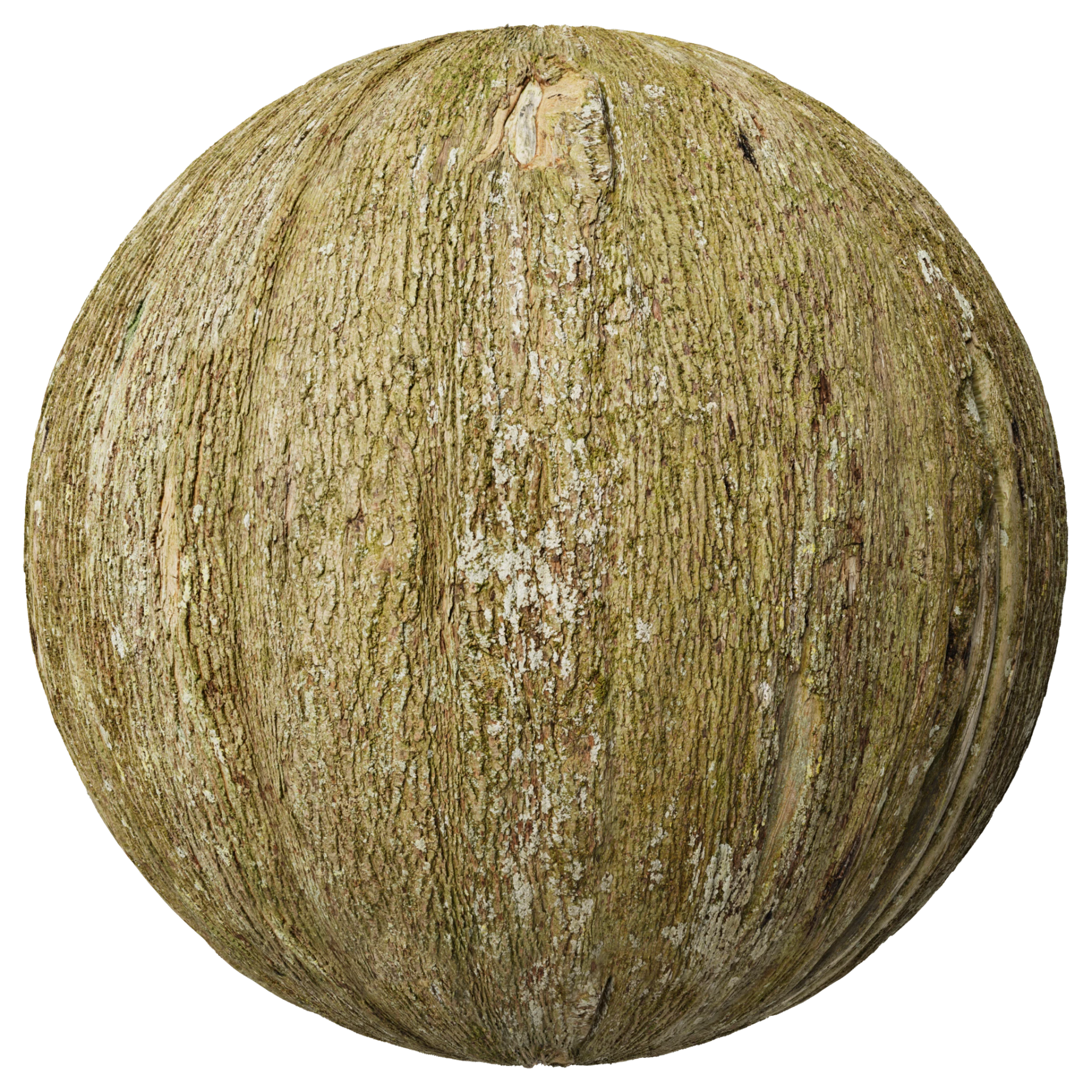 Bark 015