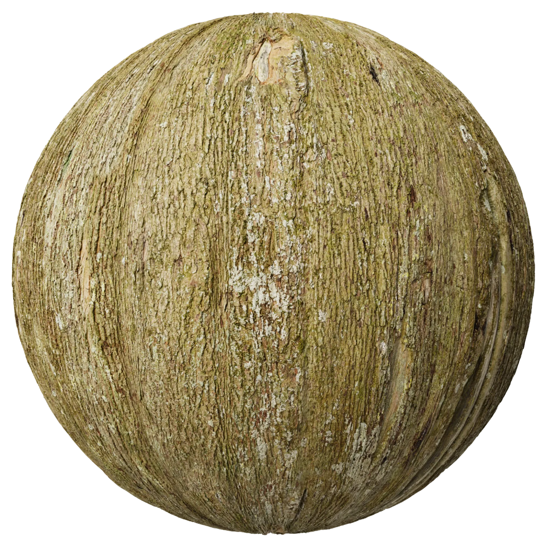 Bark 015