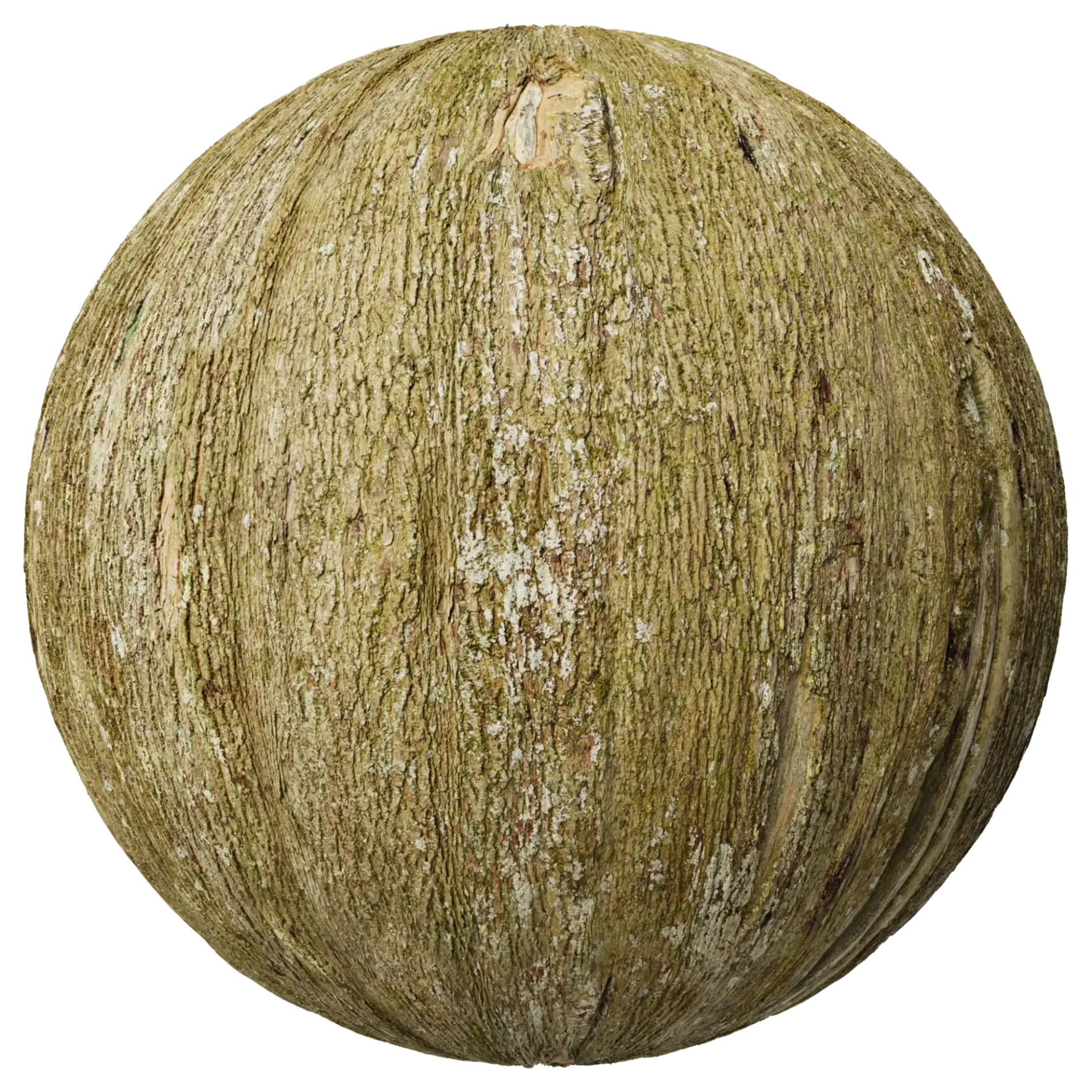 Bark 015