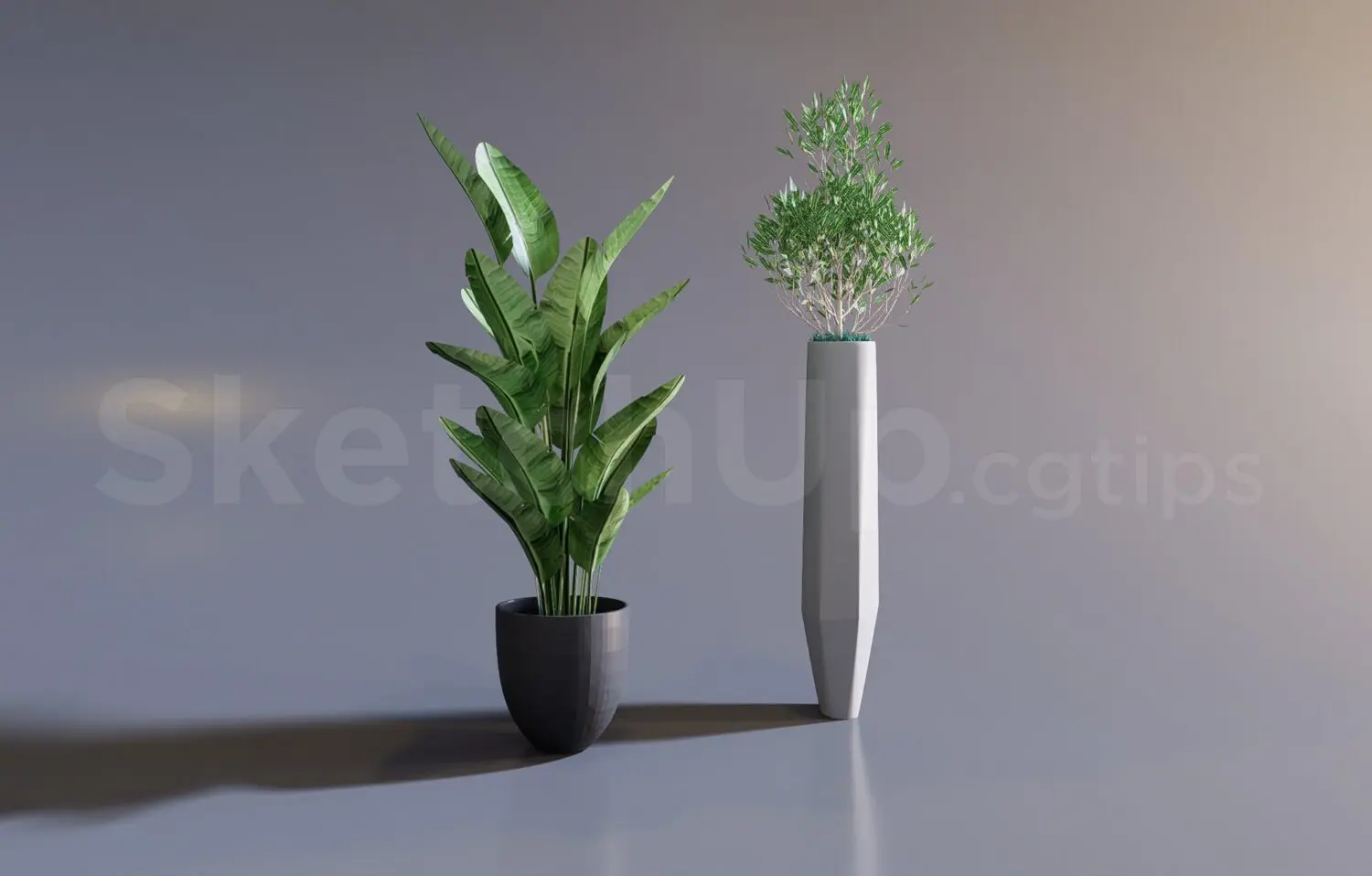 Plant — preview 1 (cgtips, CC0)