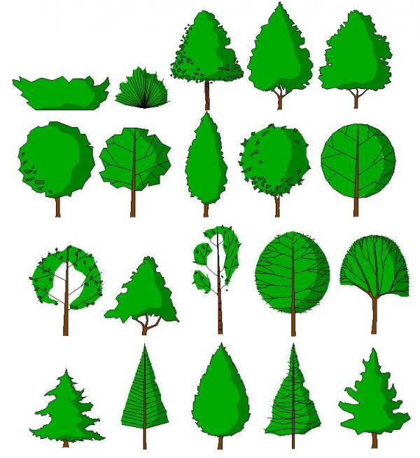 Akrimee_tree Elevations