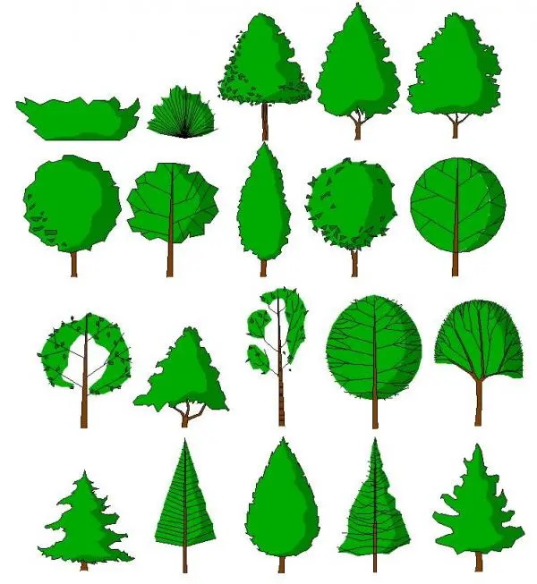 Akrimee_tree Elevations