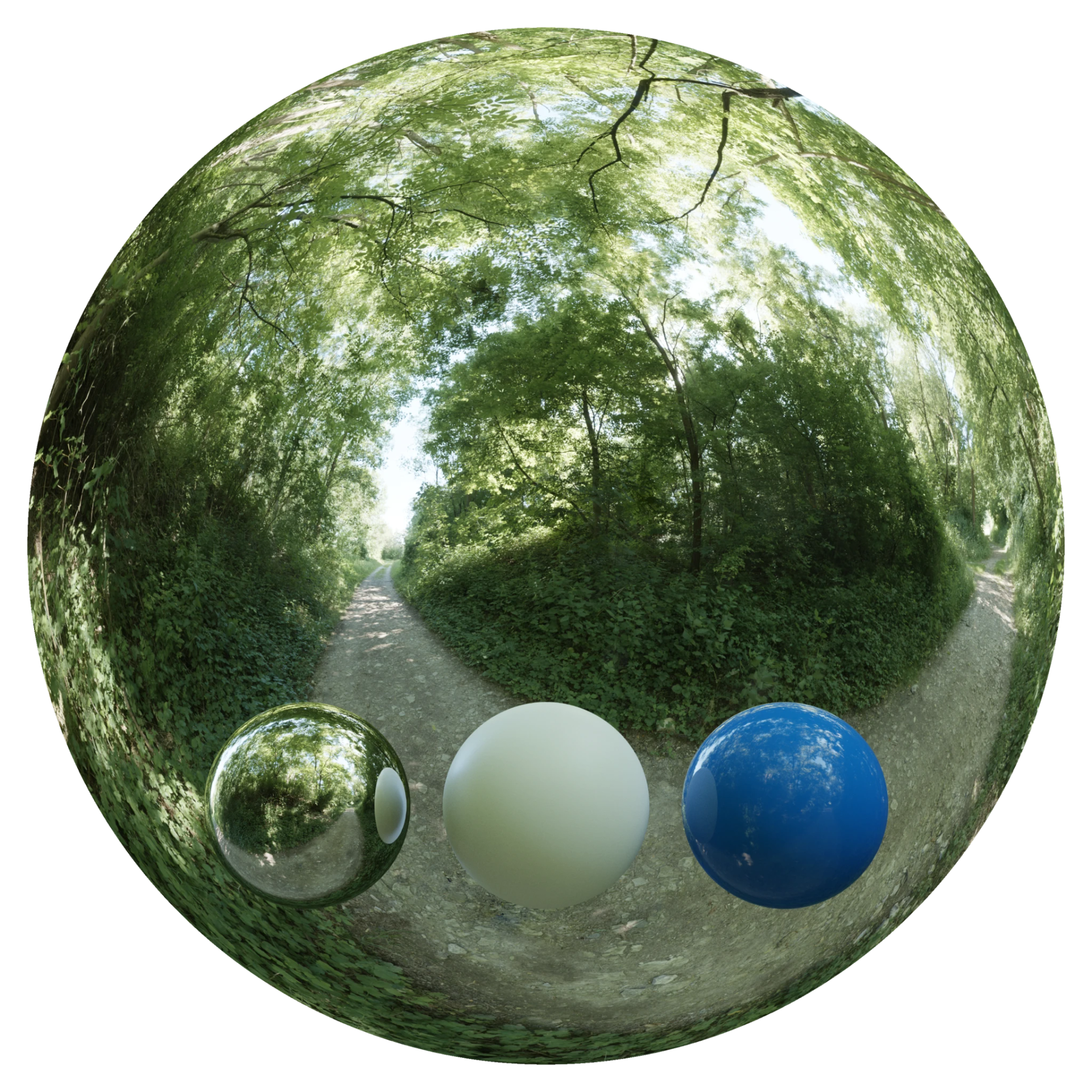 Day Environment HDRI 020