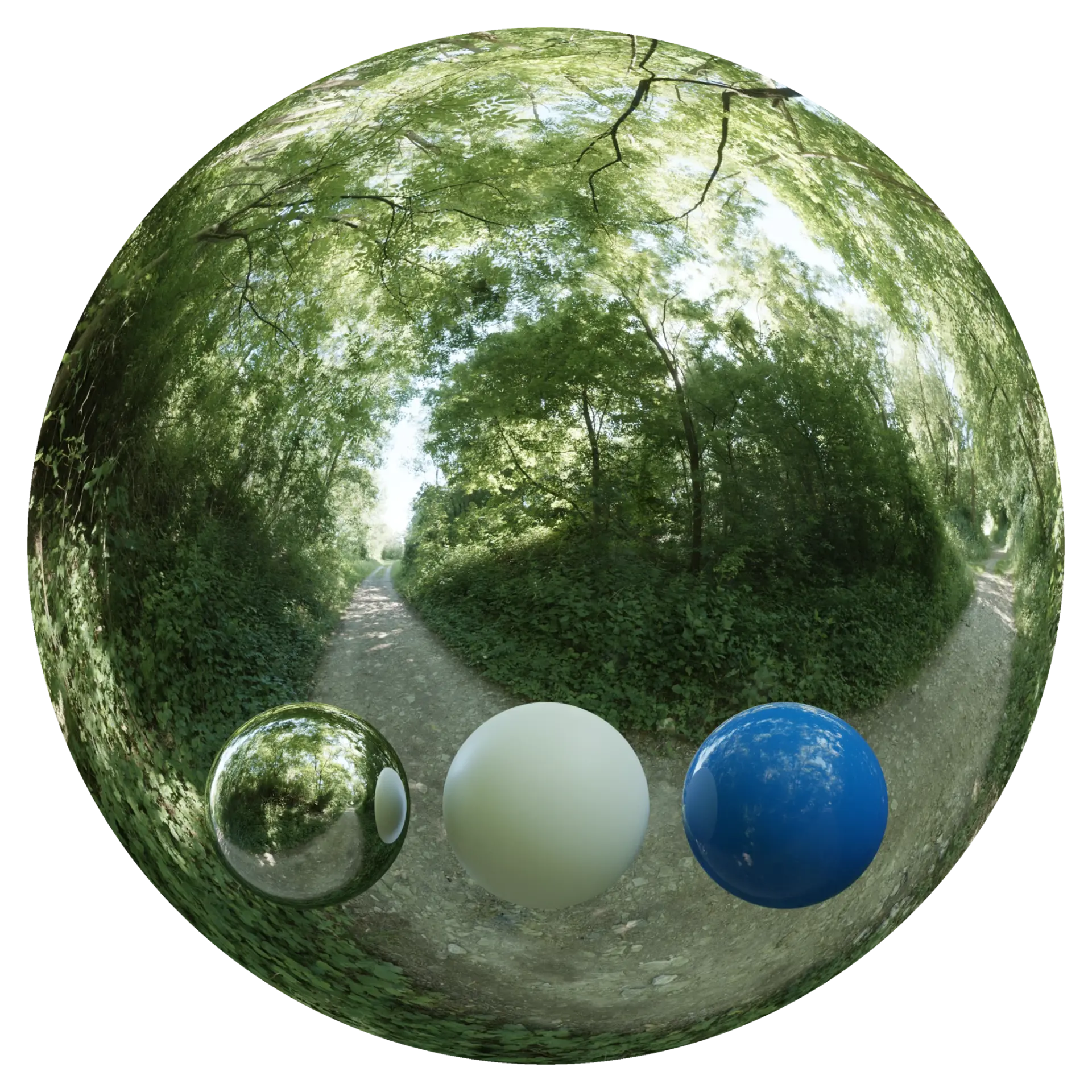 Day Environment HDRI 020