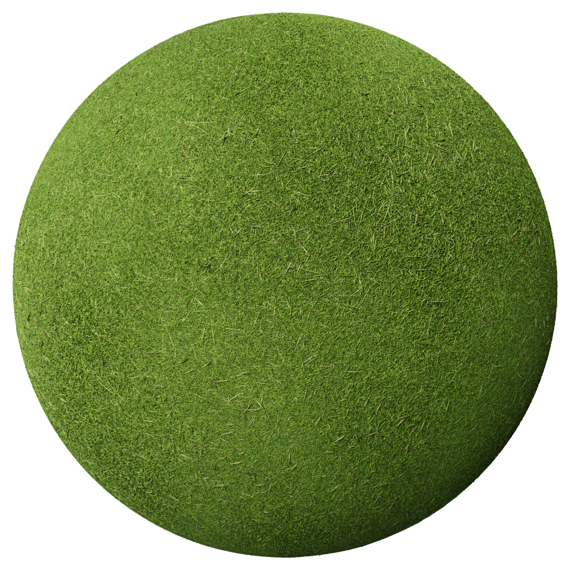 Grass 008