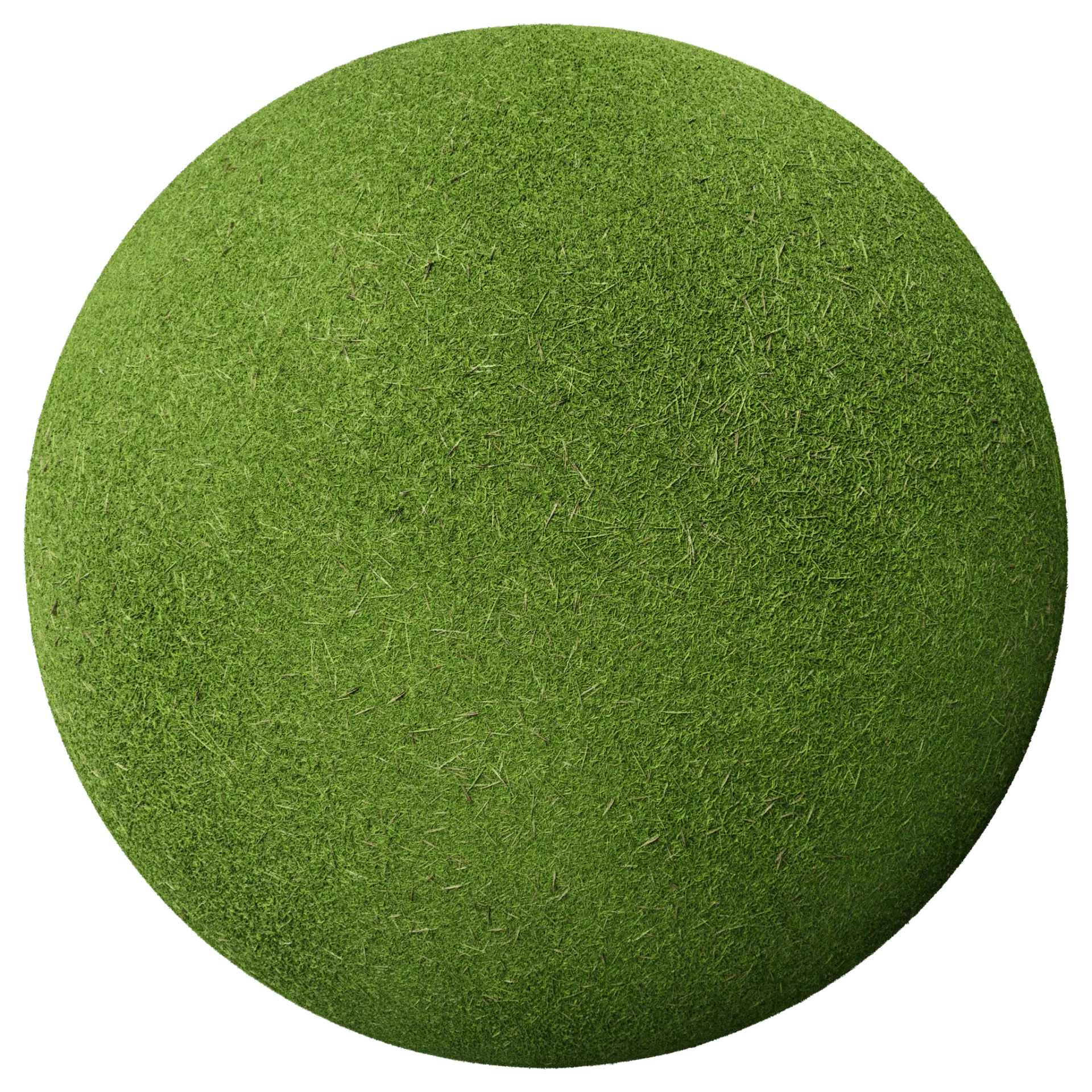 Grass 008