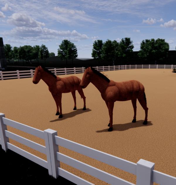 Horse