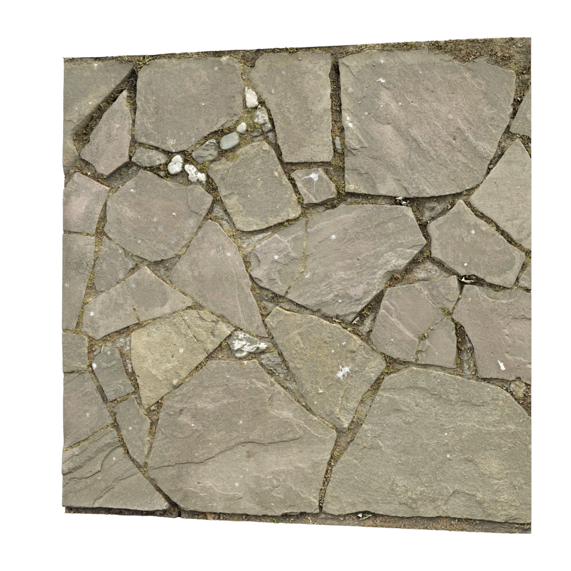 Paving Stones 069