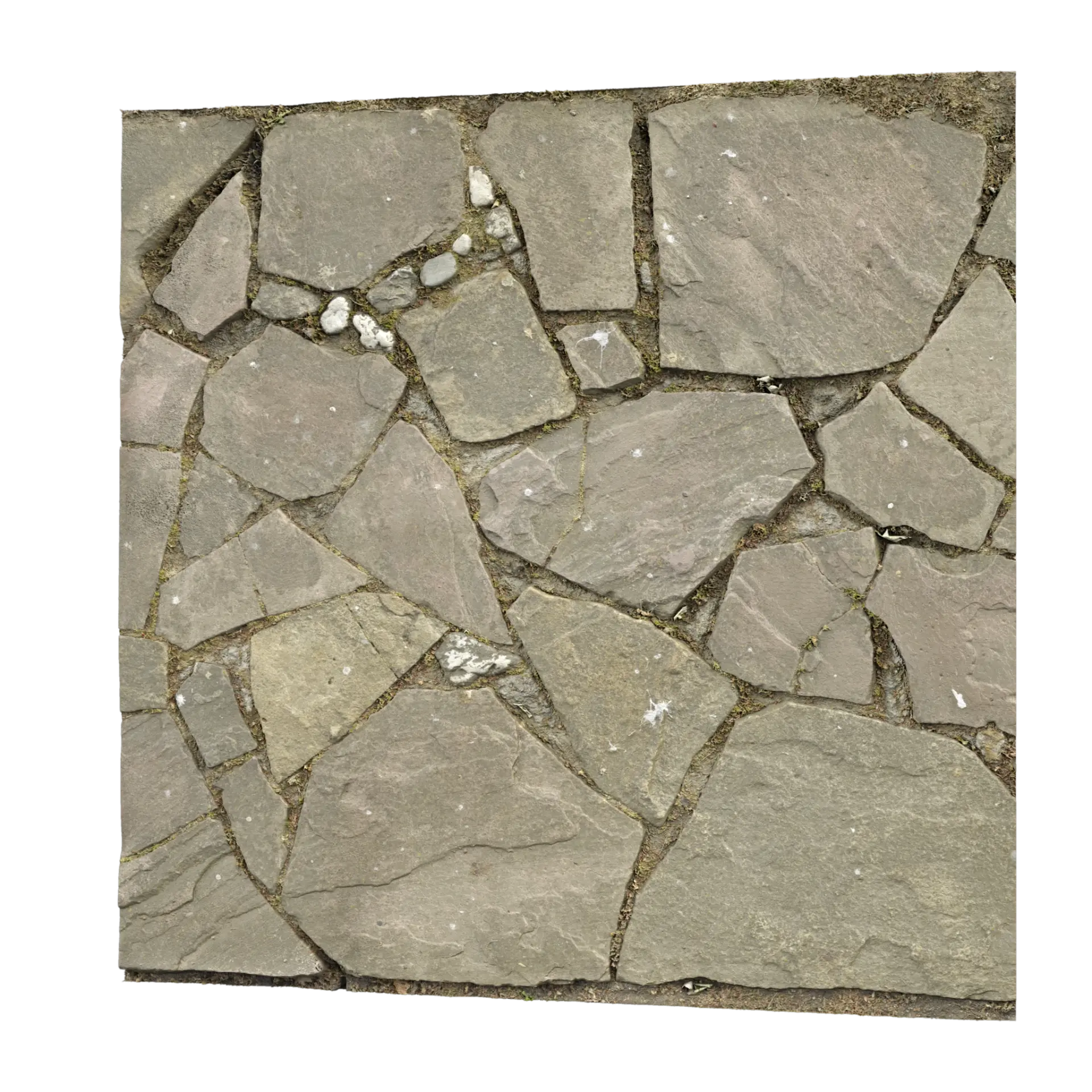 Paving Stones 069