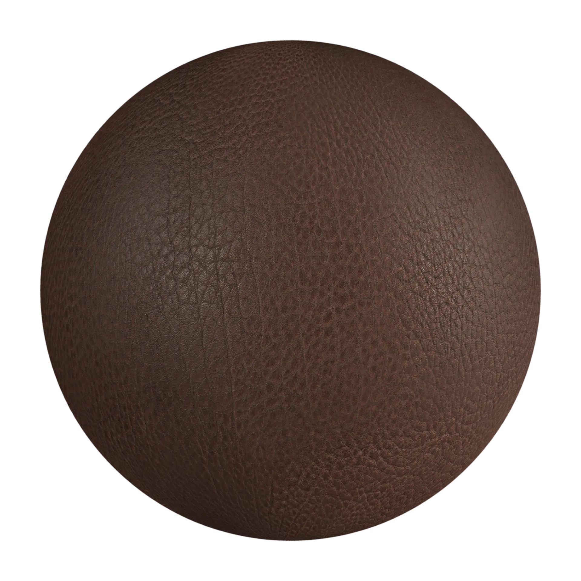 Leather 030